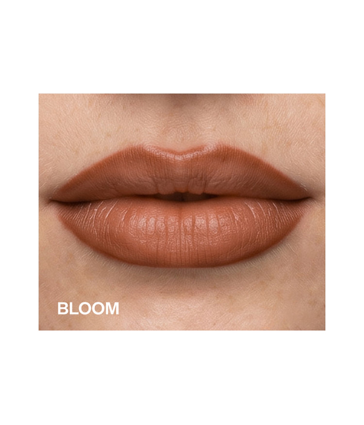LIP DEFINER